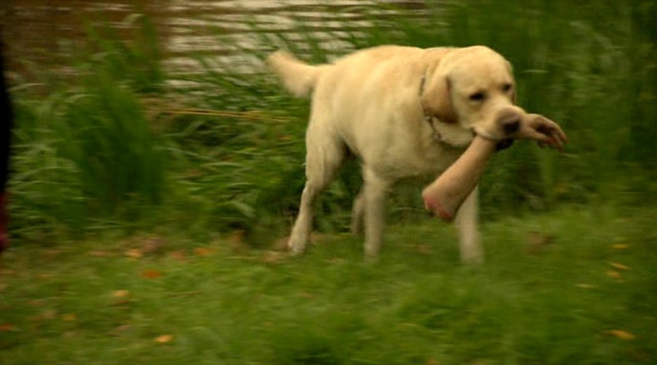 Метод Фрейда. 5серия (1сезон)