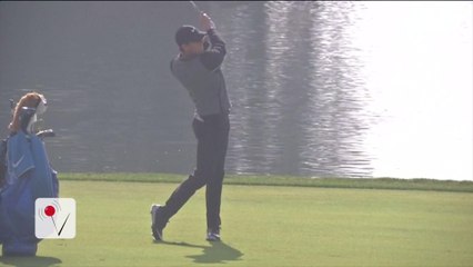 Golf Star Rory McIlroy Pulls out of Rio Olympics Due to Zika