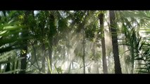 Top 2 Commercials Shot Using Red Epic Drone | Masafi Natural Water | Hartstichting TV Commercial