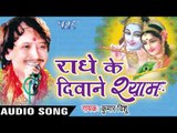 बरसाने की राधा | Barsane Ki Radha Ne | Radhe Ke Diwane Shyam | Kumar Vishu | Hindi Krishan Bhajan