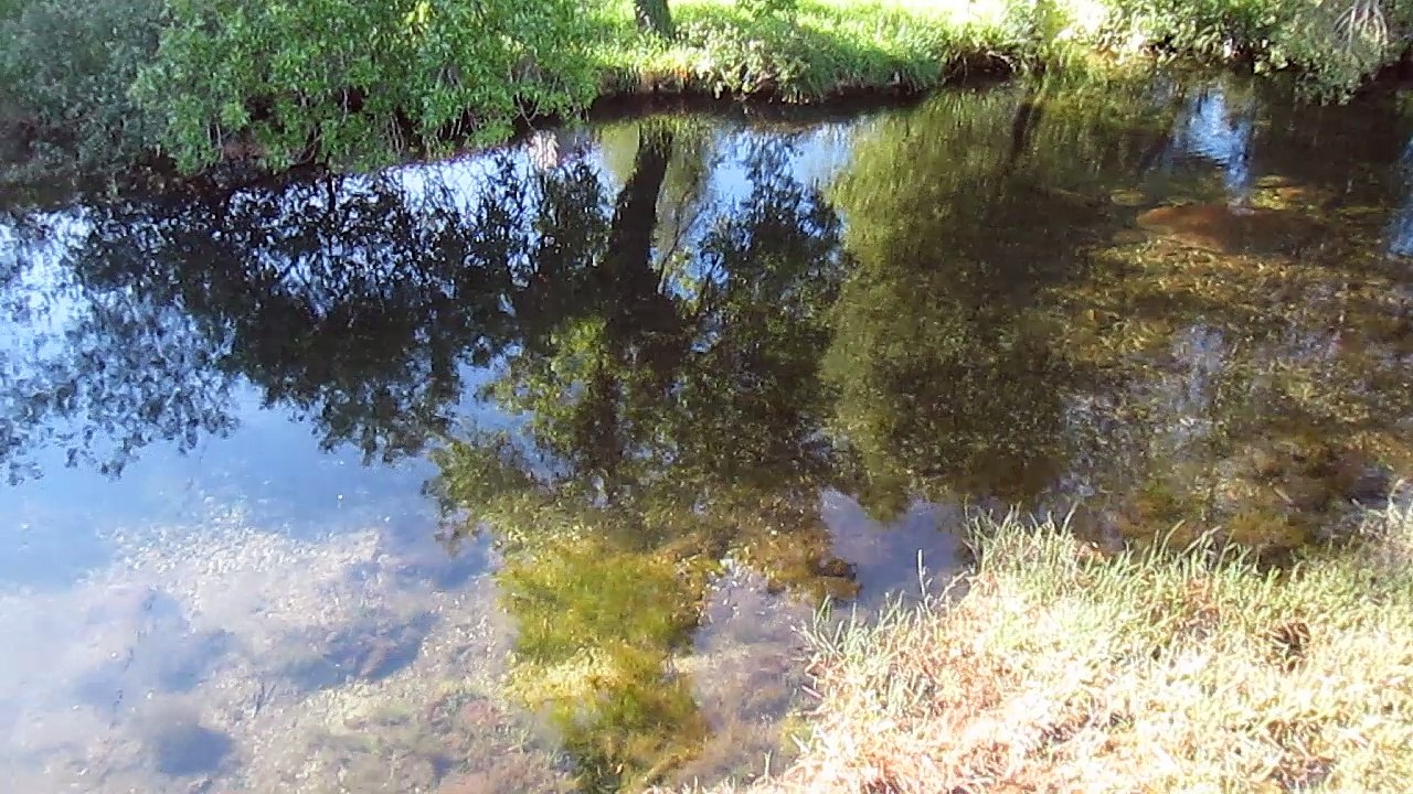Serra da Freita