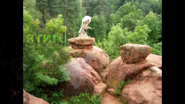 Скоро Всемирная выставка кошек WCF 3-4 сентября 2016 в Пятигорске