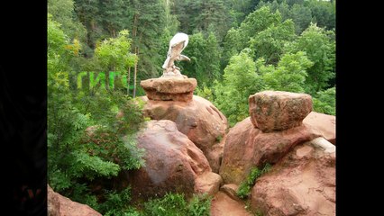 Скоро Всемирная выставка кошек WCF 3-4 сентября 2016 в Пятигорске