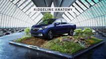 2017 Honda Ridgeline Truck: Ridgeline Anatomy