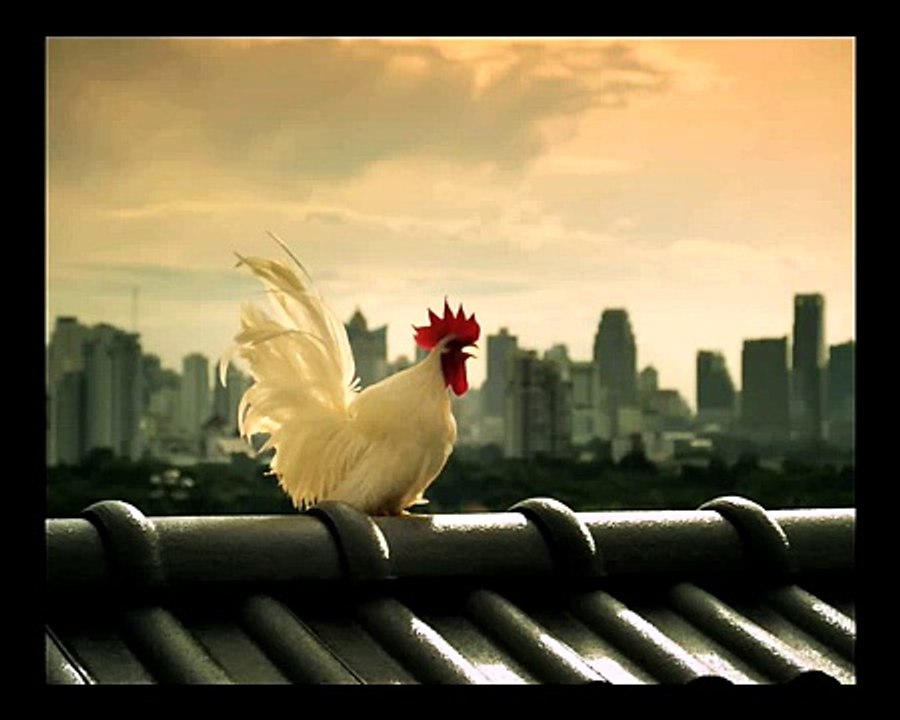 7-Eleven จับคู่อิ่มเลือกได้ วันนี้ - 25 ก.พ. 55