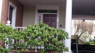 51 Forest Ave # 29