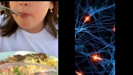 increible 11 cosas que no sabias del cuerpo humano 2016