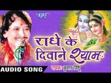 मीरा दीवानी | Meera Deewani- Deewani | Radhe Ke Diwane Shyam | Kumar Vishu | Hindi Krishan Bhajan