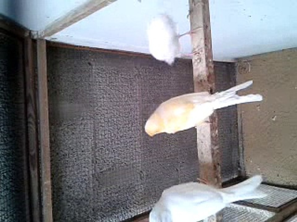 video 2014 05 11 07 23 28