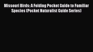 Download Missouri Birds: A Folding Pocket Guide to Familiar Species (Pocket Naturalist Guide