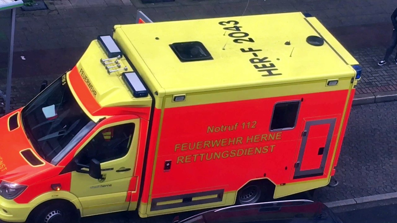 Kopfnuss Kalli und der zinker Artur drywa