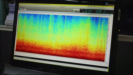 Pourquoi tant de bruit