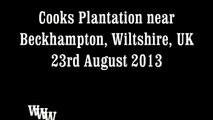 Crop circles 2013: Cooks Plantation, nr Beckhampton, Wiltshire, UK - 23 August