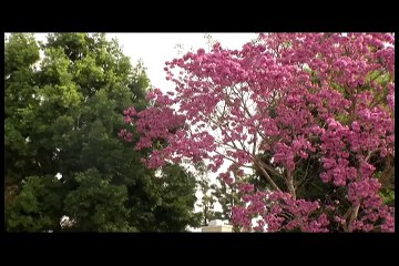 2016 Hyundai Elantra GT