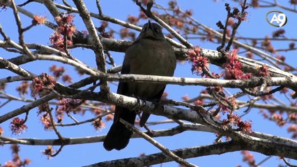 Yüksek irtifada uçuş