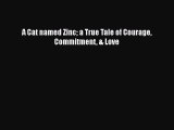 PDF A Cat named Zinc a True Tale of Courage Commitment & Love Free Books