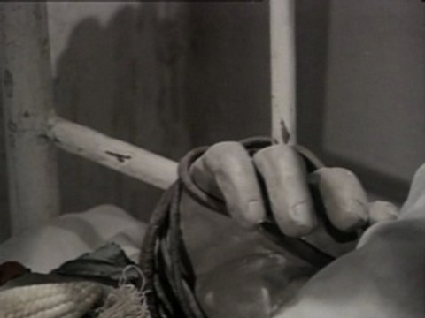 Jan Svankmajer - Flora