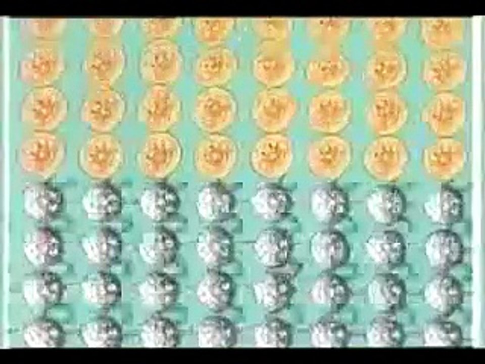 サブタイトルアニメーション集