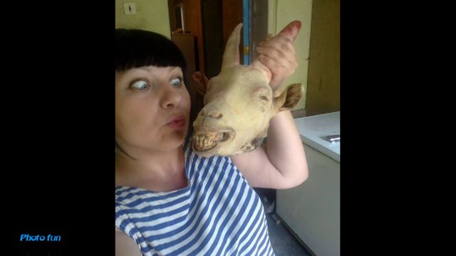 Fun with the girls and guys, crazy animals, funny animals, photo fun #6