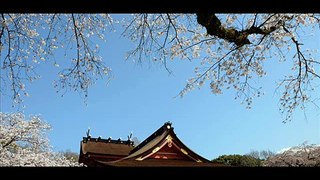 開運メッセージ　平成25年3月28日（木）　写真：富士山本宮浅間大社の桜と富士山