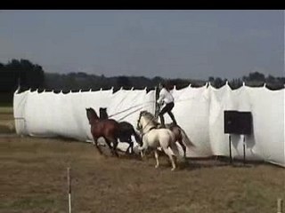 SPECTACLE EQUESTRE PATRICE RAYMOND 2007