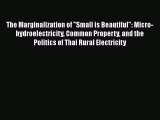 PDF The Marginalization of Small is Beautiful: Micro-hydroelectricity Common Property and the