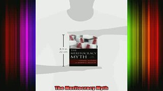 READ book  The Meritocracy Myth Full EBook