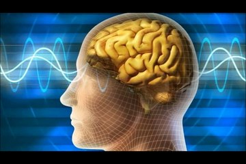 Bilimin Cevaplayamadığı Sorular