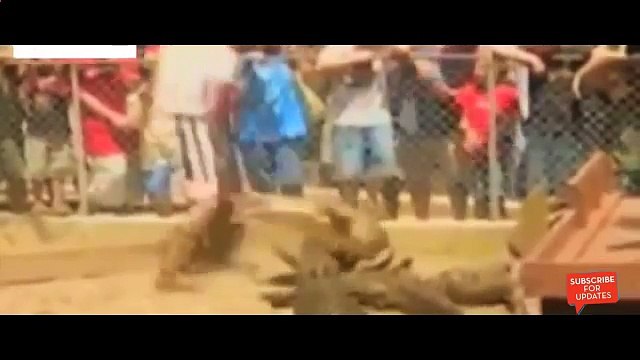 Top Biggest wild animal fights | Most Amazing Wild Animal Attacks #7 | When Animals Fight Back