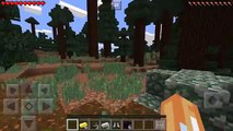 Minecraft building houses