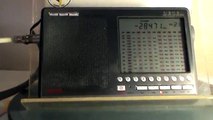 PT3T - CQ Contest 28 MHz