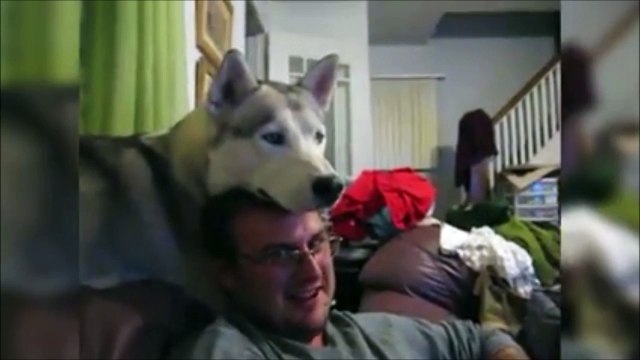 Il a un joli chapeau lui... Ahaha chien trop drole