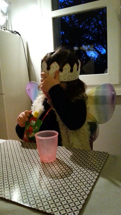 01 2016 Capu galette rois