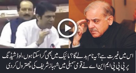 PPP MNa do acting like Shehbaz sharif