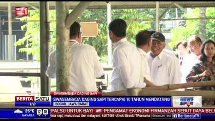 Presiden: Swasembada Daging Sapi Terwujud 9-10 Tahun Lagi