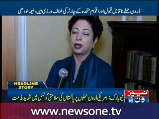 Afghanistan should resolve its own issues: Lodhi