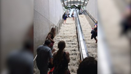 Flood waters rush into Cleveland Park Metro station