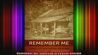 READ book  Remember Me Slave Life in Coastal Georgia Full EBook