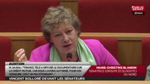 La question de la sénatrice Marie-Christine Blandin à Vincent Bolloré : Paratonnerre, fusible et censure