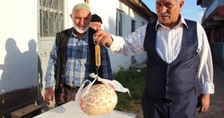 Köy Muhtarı 3 Kiloluk Mantar Buldu