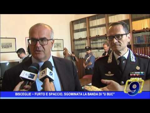 Bisceglie | Furti e spaccio di droga, sgominata la banda di U buc