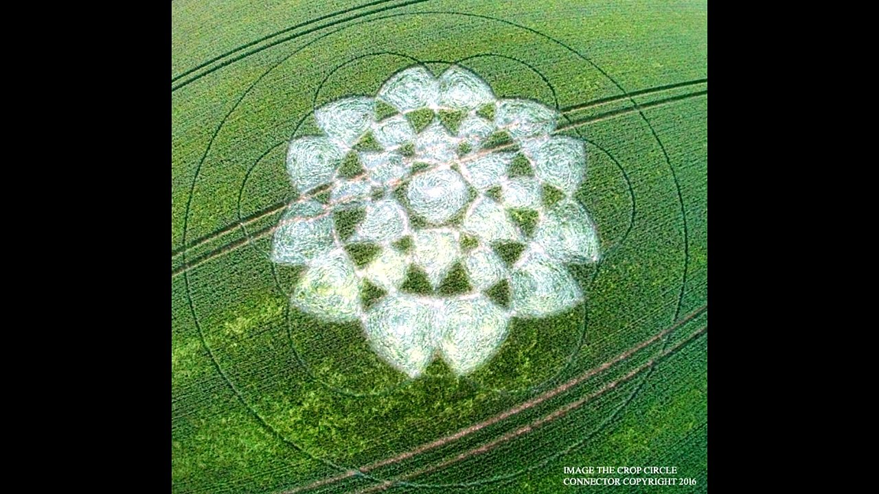 Crop Circles Chilcomb Down, nr Winchester, Hampshire,Inghilterra 21 Giugno 2016.