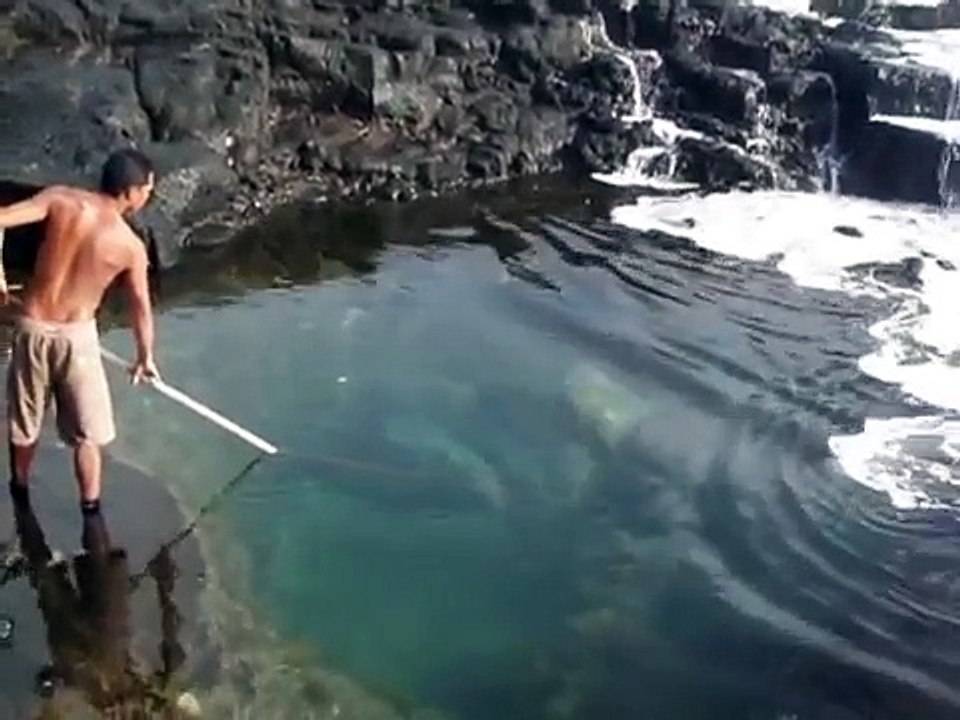 inanılmaz balık avı!!!! 1 metre suda dev balık