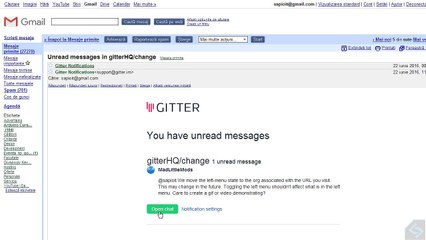 Gitter unexpected behaviour report