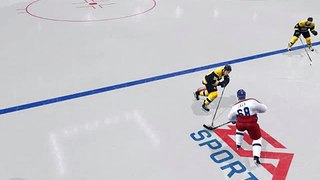 NHL 11 - Hovering Puck and Stick Glitch
