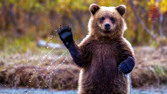 7 НЕВЕРОЯТНЫХ ТРЮКОВ С МАТЕМАТИКОЙ