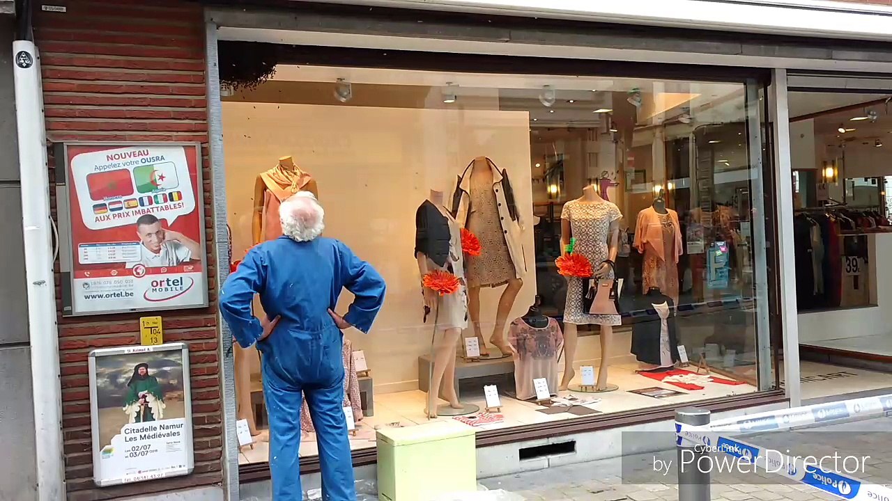 Mons - un essaim d'abeilles à la rue de la Petite Guirlande