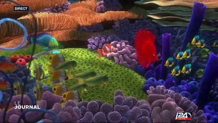 "Le monde de Dory" meilleur démarrage d'un film d'animation, le vrai poisson bientôt victime de son succès ?