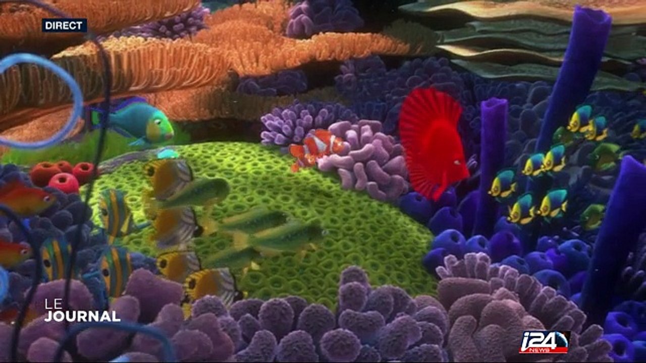 "Le monde de Dory" meilleur démarrage d'un film d'animation, le vrai poisson bientôt victime de son succès ?