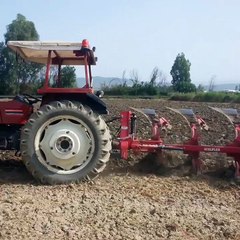 Çekemez diyenlere gelsin